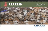 Revista Iura- Upao