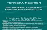 ESTABLECER LA PASTORAL FAMILIAR EN LA PARROQUIA.pdf