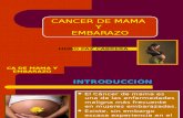 Cancer de Mama y Embarazo Expo