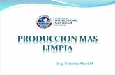 Clase 12 Produccion Mas Limpia-2014 [Reparado]