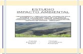 4.- Estudio de Impacto Ambiental
