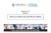 Presentación Patología Modulo II 1