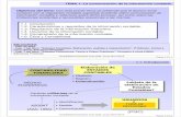 T1 CFA 1516 Comunicacion-Informacion-contable