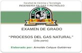 Arnoldo procesos del gas natural