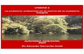 02 La Auditoria Ambiental en El Marco de La Auditoria Integral