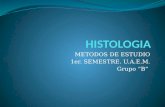 Histologia- m. de Estudio