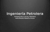 Enfoque General de La Ingeniería Petrolera