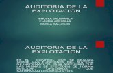 AUDITORIA DE LA EXPLOTACIÓN.pptx