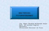 Bacterias Fitopatógenas