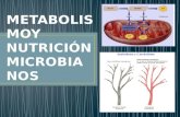 u3 Nutrición y Metabolismo