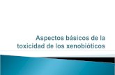 Aspectos Básicos de La Toxicidad de Los Xenobióticos