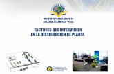 UC1 Tema 2 Factores Distribucion de Planta
