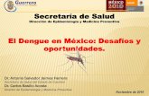 La Situacion Del Dengue en El Estado de Guerrero