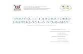 Proyecto Geomecanica Aplicada Aravena-Fritis-Quiñileo.pdf