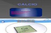 CALCIO - Presentacion Final