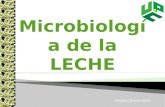EXPOSICION MICROBIOLOGIA DE LA LECHE