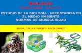 1er Biologia, Importancia Bioseguridd