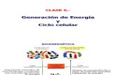 CICLO CELULAR Y GENERACION DE ENERGIA