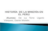 Historia de Mineria