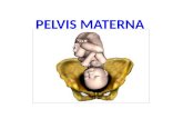 PELVIS MATERNA.pptx