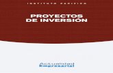 2015 Finan 10 Proyectos Inversion