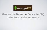 MongoDB Expo