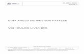 AA_AFRG_000001 Vehículos Livianos Guías en Español