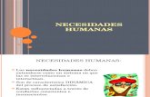 Cuatro Necesidades Humanas