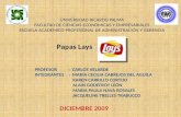 Analisis del consumidor Papas Lays Perú