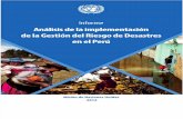 Informe Nnuu Analisis Implementacion de La Grd en El Peru