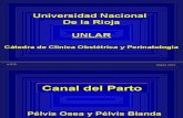Unlar 03 Canal Del Parto TL