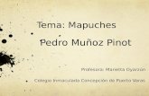PPT Los Mapuches