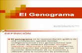 El Genograma (2) 2