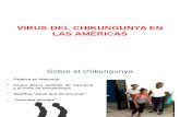 Chikungunya microbiologia