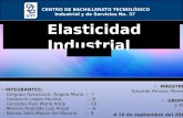 Elasticidad Industrial