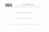 2008 Agenda Ecologica Indigena.pdf