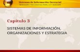 CAP. 03 Sistemas de Información, Organizaciones y Estrategia