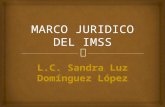 Marco Juridico Del Imss 2011