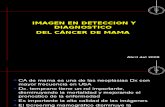 Imagen en Deteccion y Diagnostico Cancer de Mama