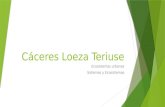 Cáceres Loeza Teriuse-ecosistemas Urbanos