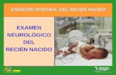ExameEn Neurologico Del Recien Nacido - Copia