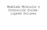 Modelado Molecular e Interacción Enzima-Ligando Oxicanes.pptx