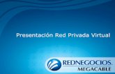 Presentacion VPN 03092010