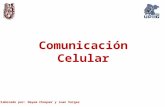 Comunicacion Celular (1)