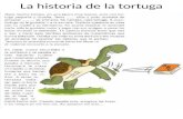 La Historia de La Tortuga
