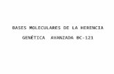 2-1 Genética Molecular