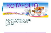 ROTAFOLIO ODONTO.docxCCC.docxddd.docx