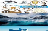 Animales Polares