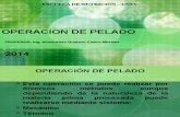 Operacion de Pelado y Reduccion de Tamaño 2014 (1)