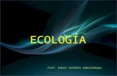 Clases Ecologia